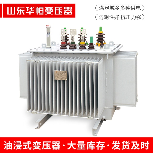 S13-10000/35察哈尔右翼后察哈尔右翼后察哈尔右翼后电力变压器
